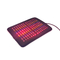 La fonction multi de PDT de lumière rouge de thérapie de couleurs infrarouges médicales de la protection 4 a mené photodynamique